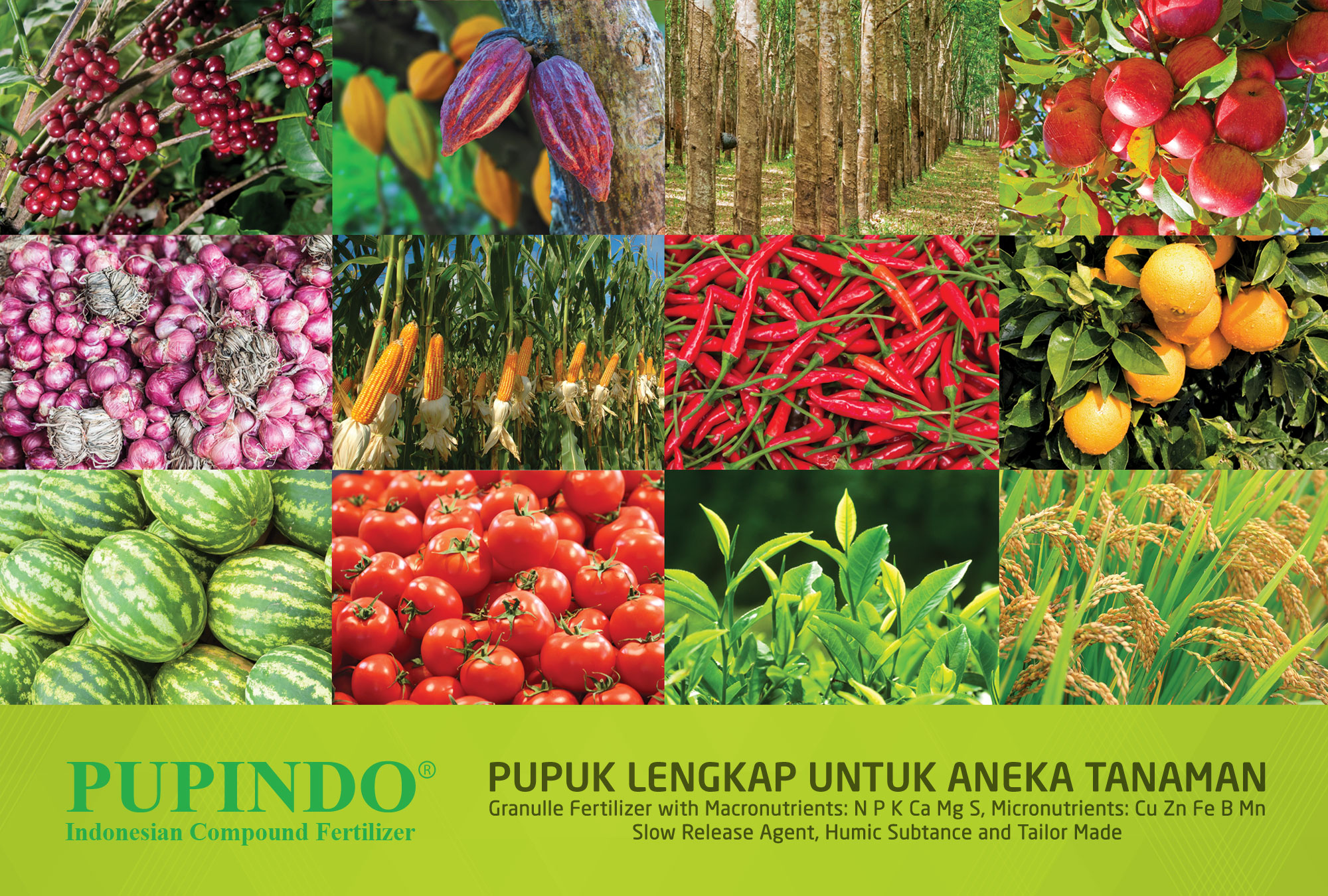 PT. Dupan Anugerah Lestari | Produsen Pupuk NPK | Indonesia Compound  Fertilizer